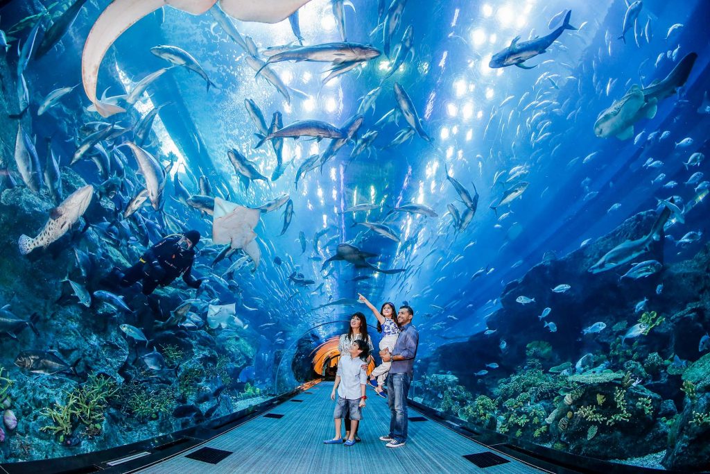 Dubai-Aquarium_Tunnel-1024×683