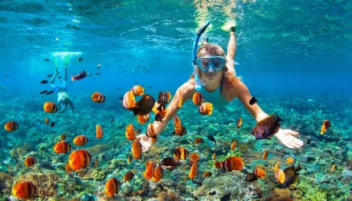 Coevr-for-Snorkeling-In-Andaman