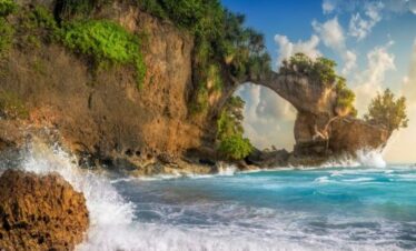 Exotic Andamans