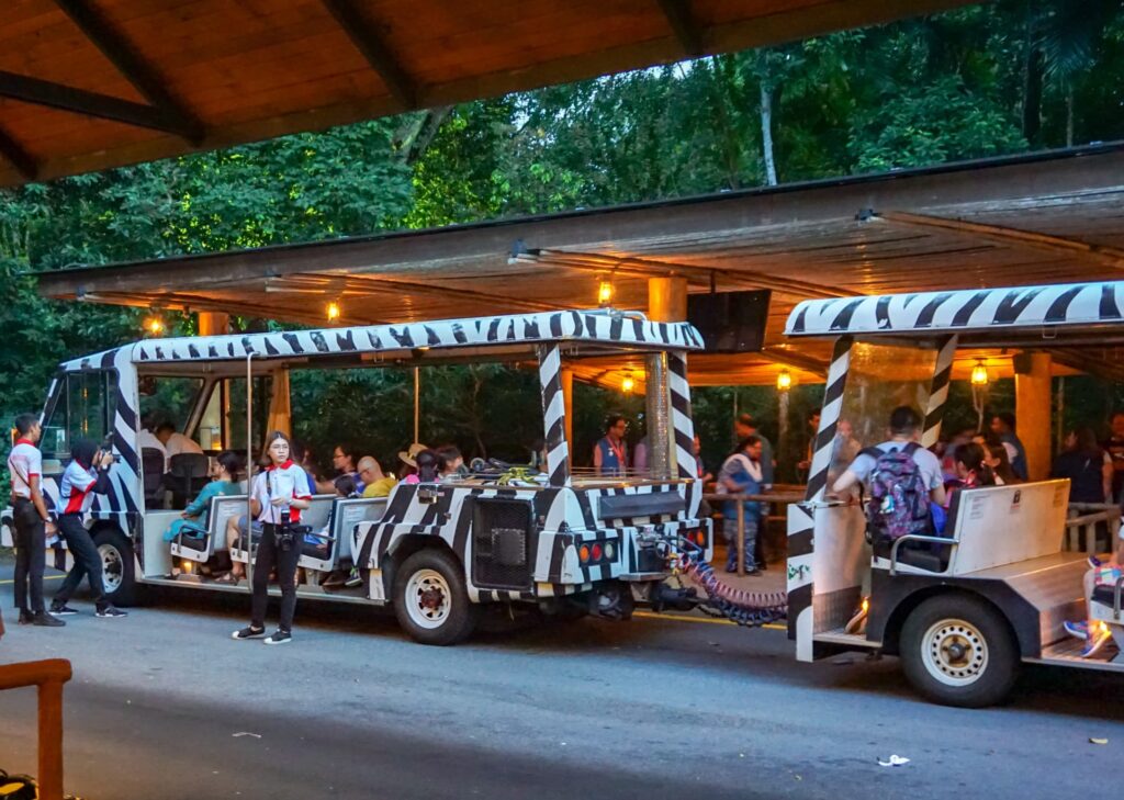 night-safari-singapore-guided-tram