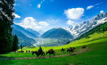 Simply Kashmir