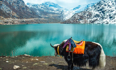 Himalayan Escape – Gangtok & Darjeeling
